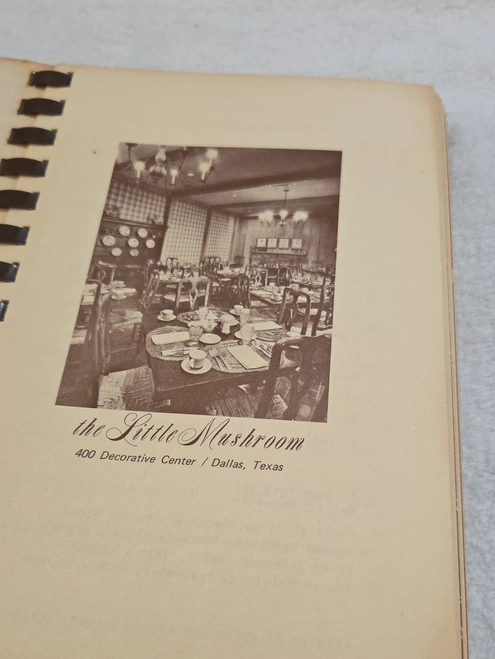 UNDER THE MUSHROOM COOKBOOK